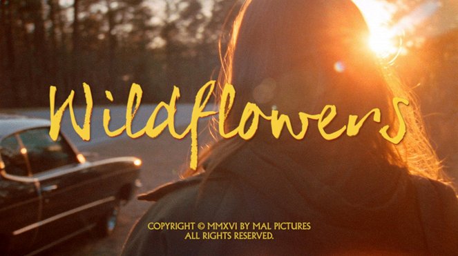 Wildflowers - Affiches