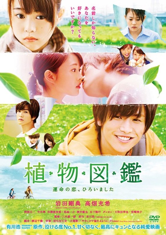 Evergreen Love - Posters