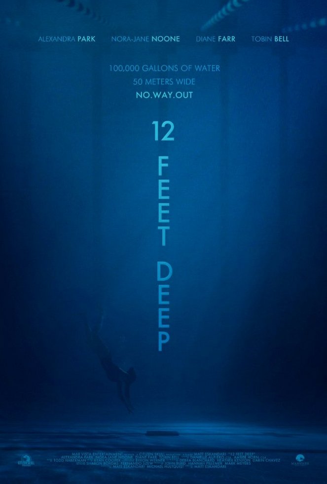 12 Feet Deep - Plakáty