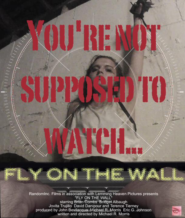 Fly on the Wall - Affiches