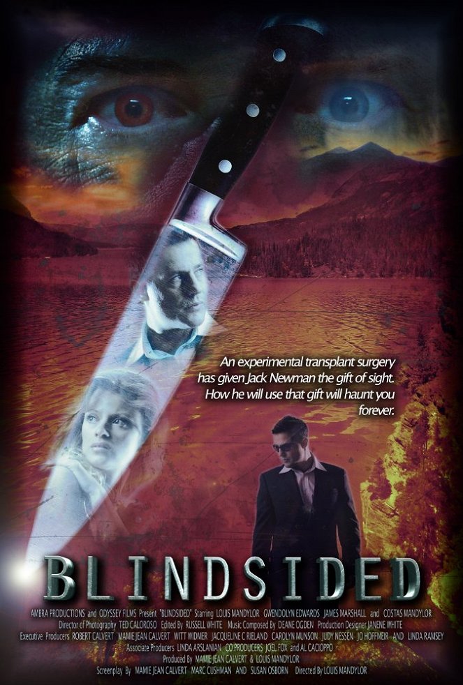 Blindsided - Posters