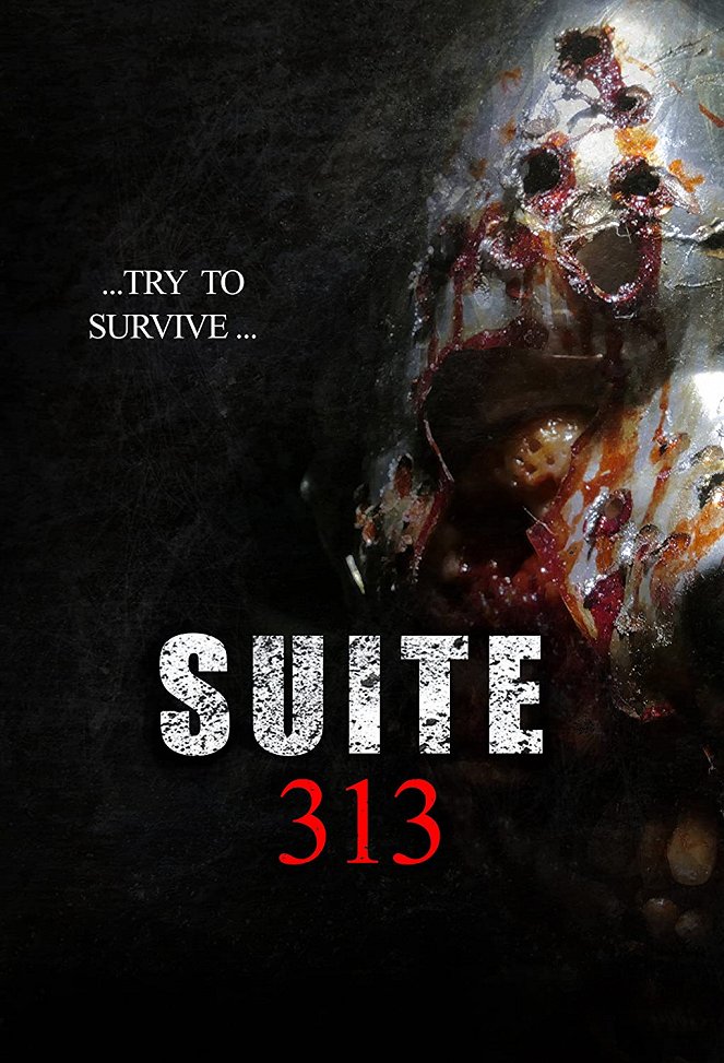 Suite 313 - Plakátok