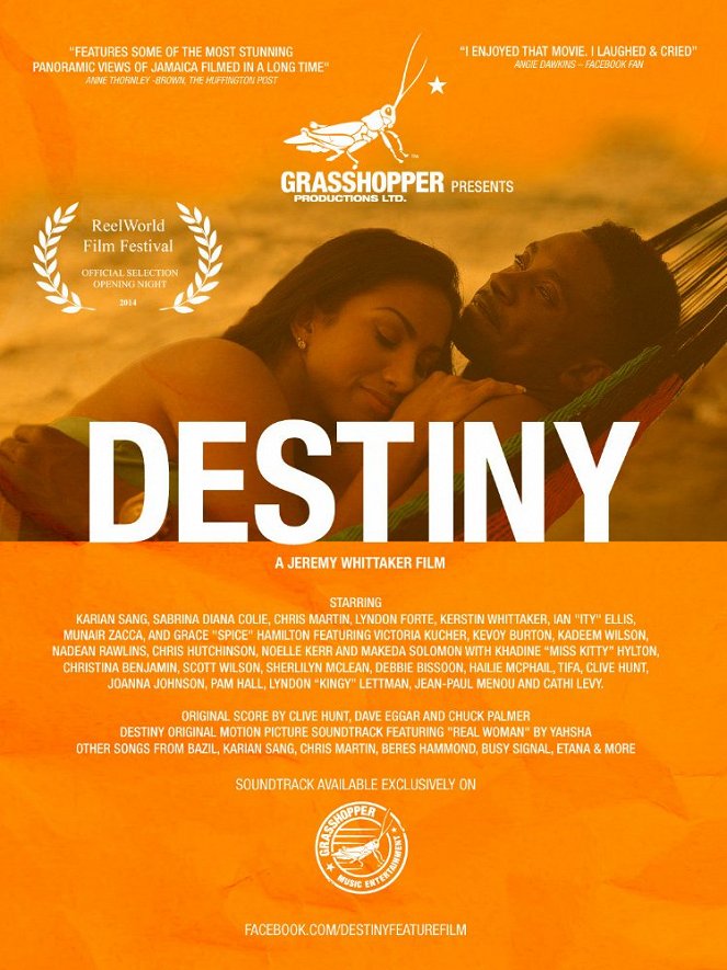 Destiny - Plakáty