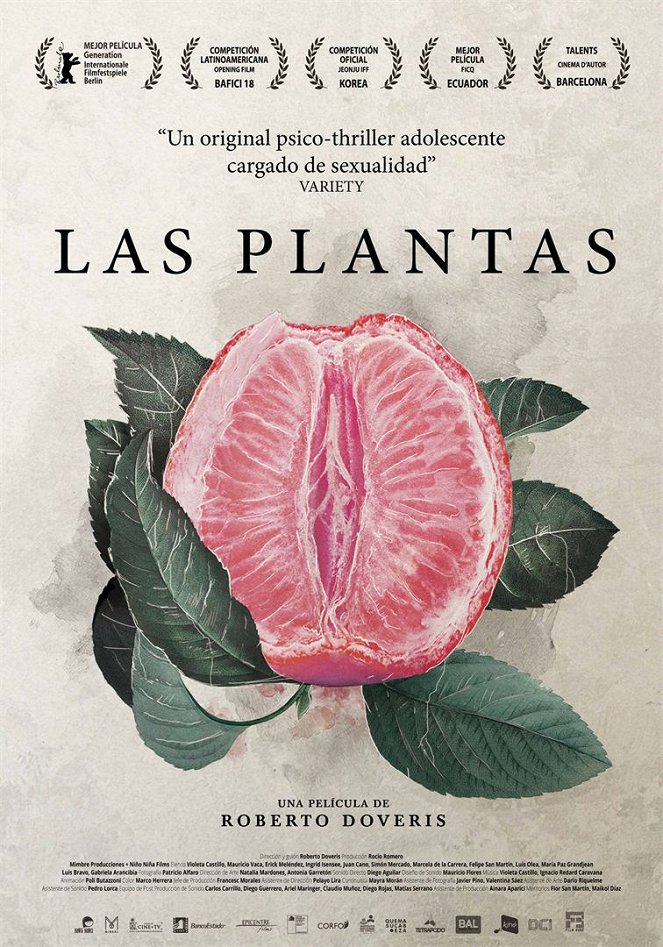 Las plantas - Plakate