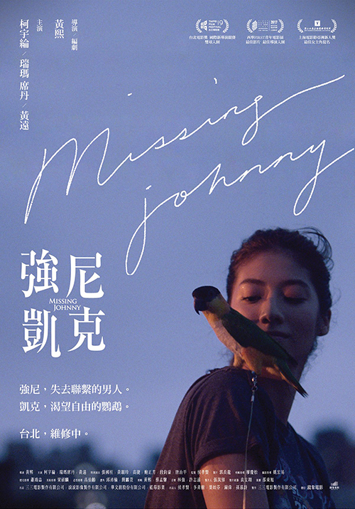 Missing Johnny - Affiches