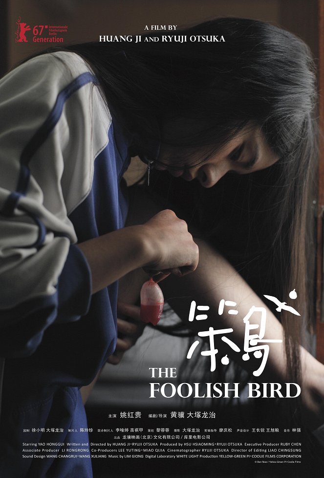 The Foolish Bird - Posters