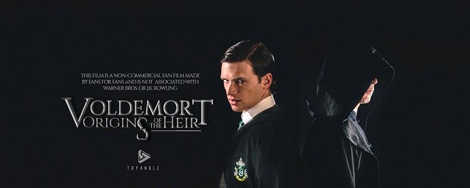 Voldemort: Origins of the Heir - Posters