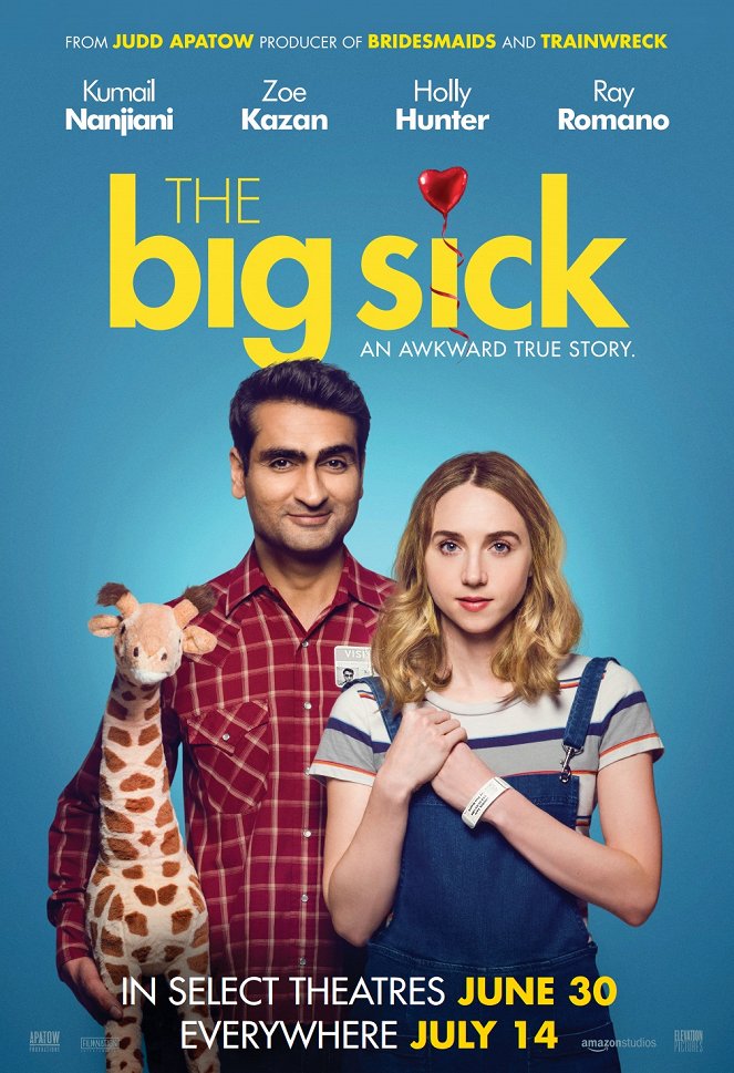 The Big Sick - Affiches