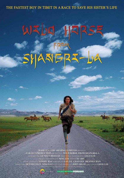 Wild Horse from Shangri-La - Posters