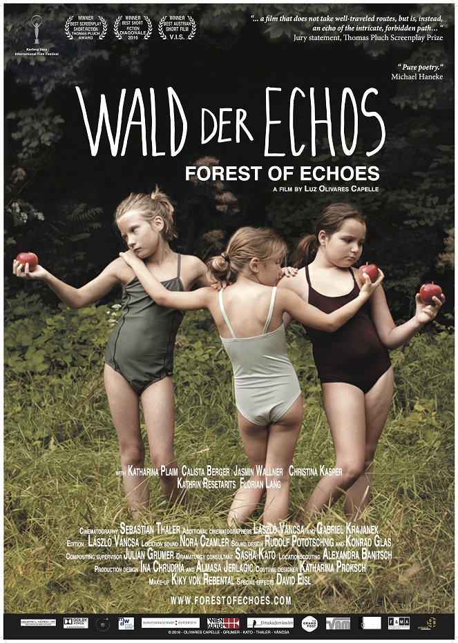 Wald der Echos - Posters