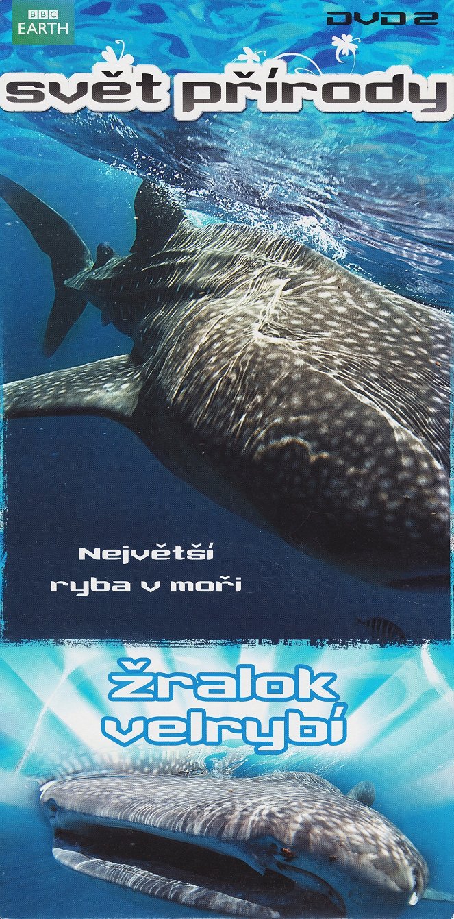 Svět přírody - Žralok velrybí - 