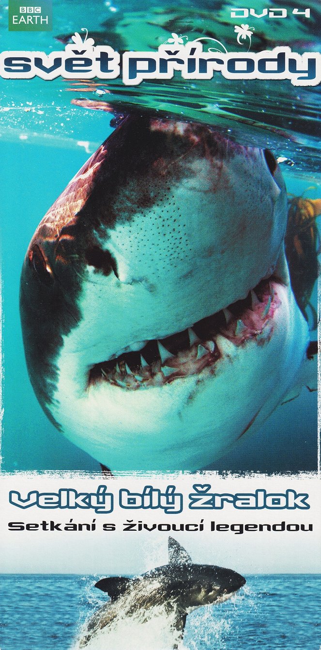 Svět přírody - Velký bílý žralok - Plakáty