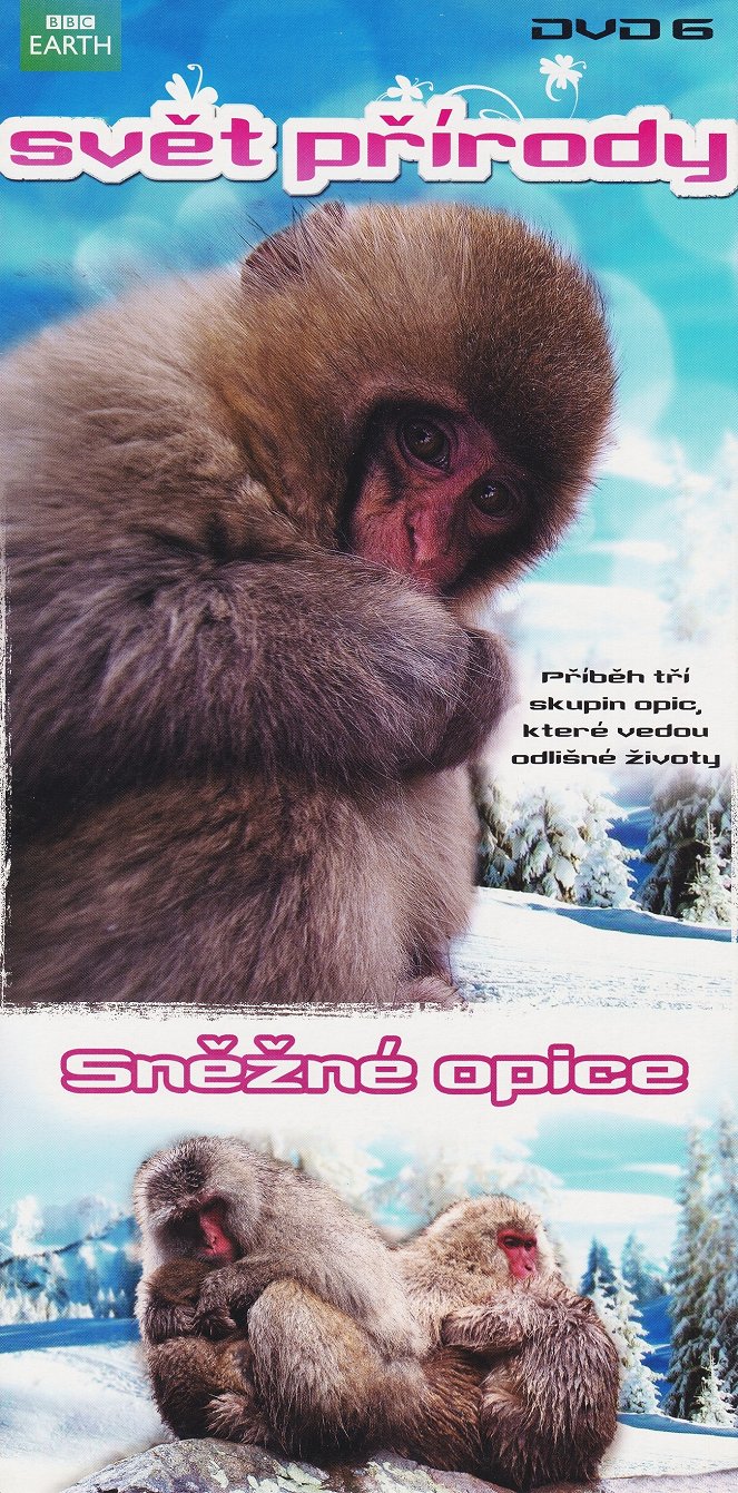 Svět přírody - Svět přírody - Sněžné opice - Plakáty