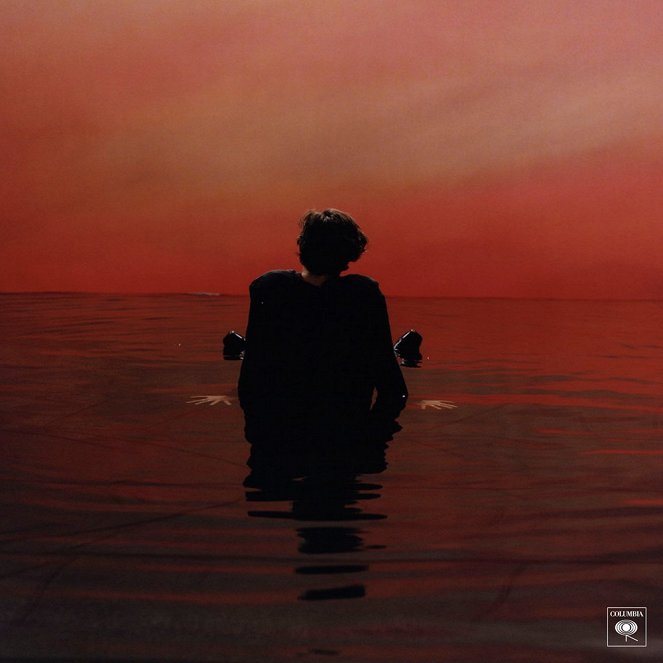 Harry Styles - Sign of the Times - Posters