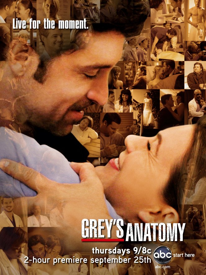 Anatomia de Grey - A Anatomia de Grey - Season 5 - Cartazes