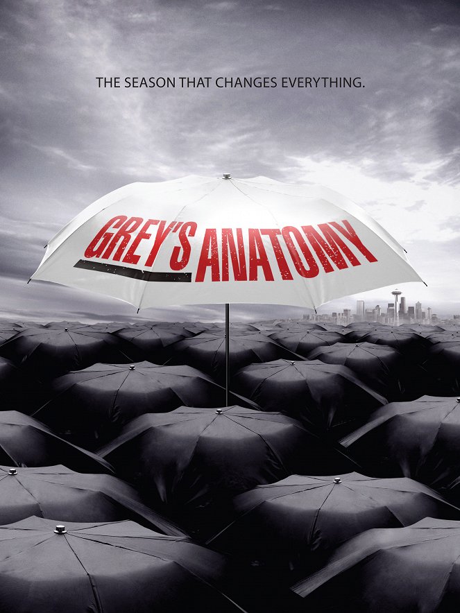 Grey's Anatomy - Grey's Anatomy - Season 6 - Affiches