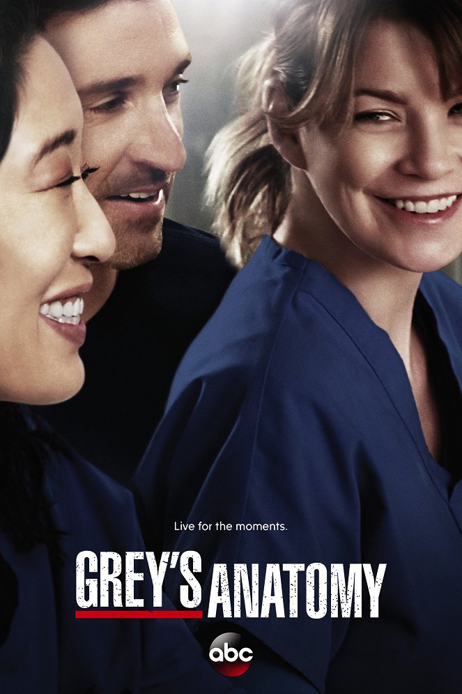 Anatomía de Grey - Season 10 - Carteles