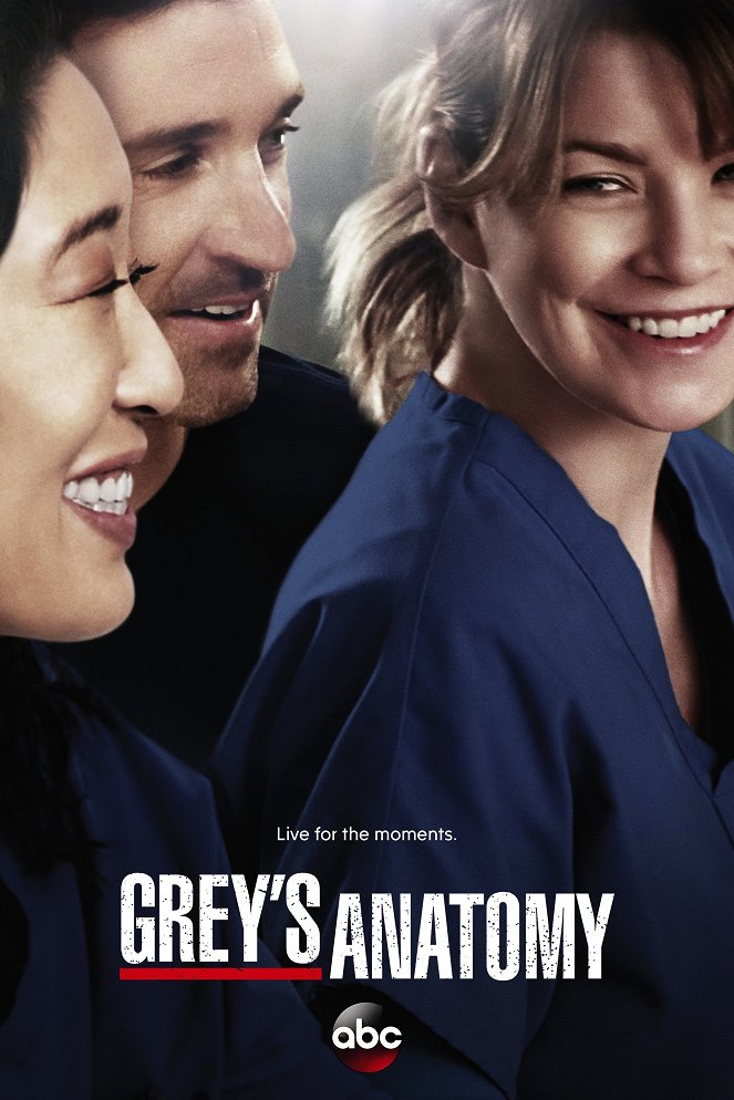 Grey's Anatomy - Season 10 - Posters