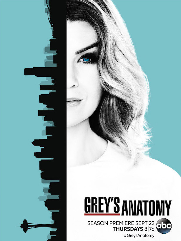 Anatomía de Grey - Season 13 - Carteles