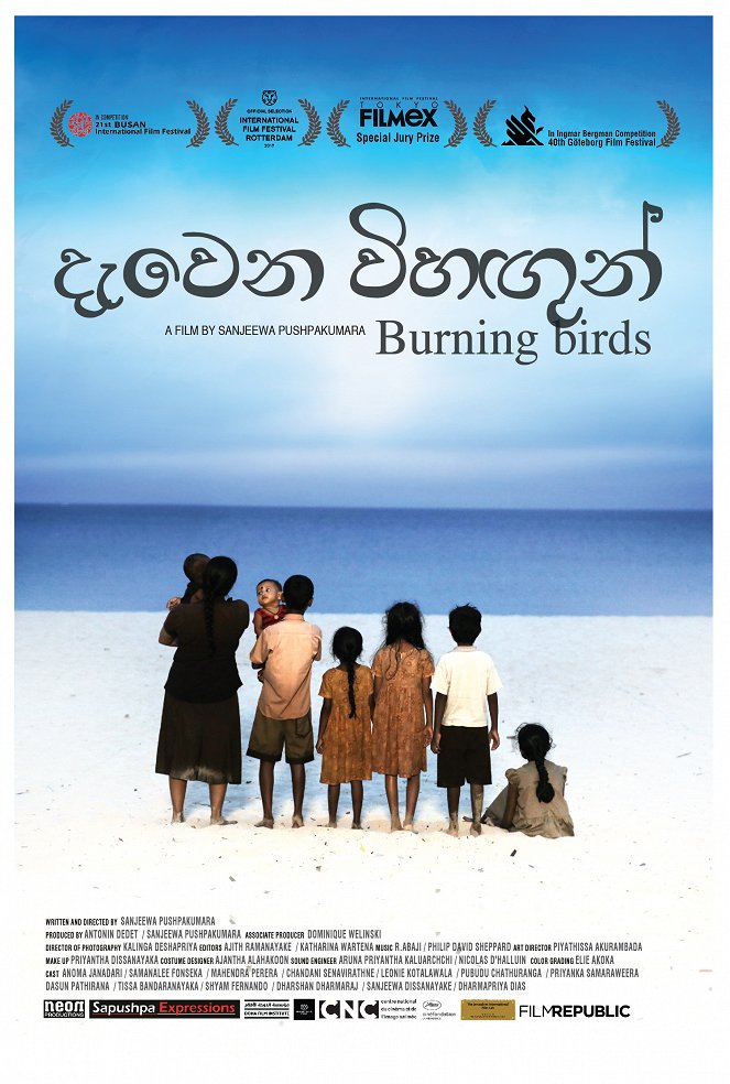 Burning Birds - Posters