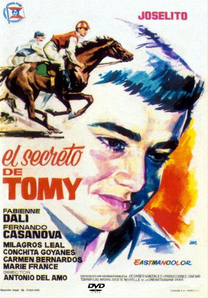 El secreto de Tomy - Plakátok