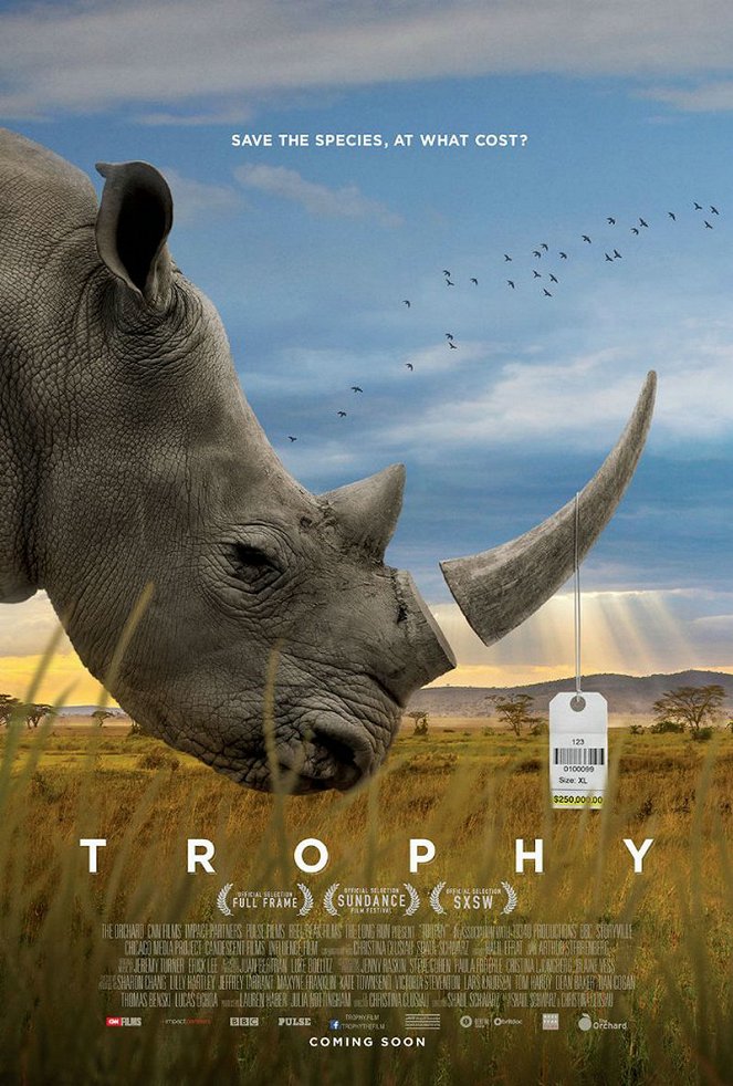 Trophy - Affiches