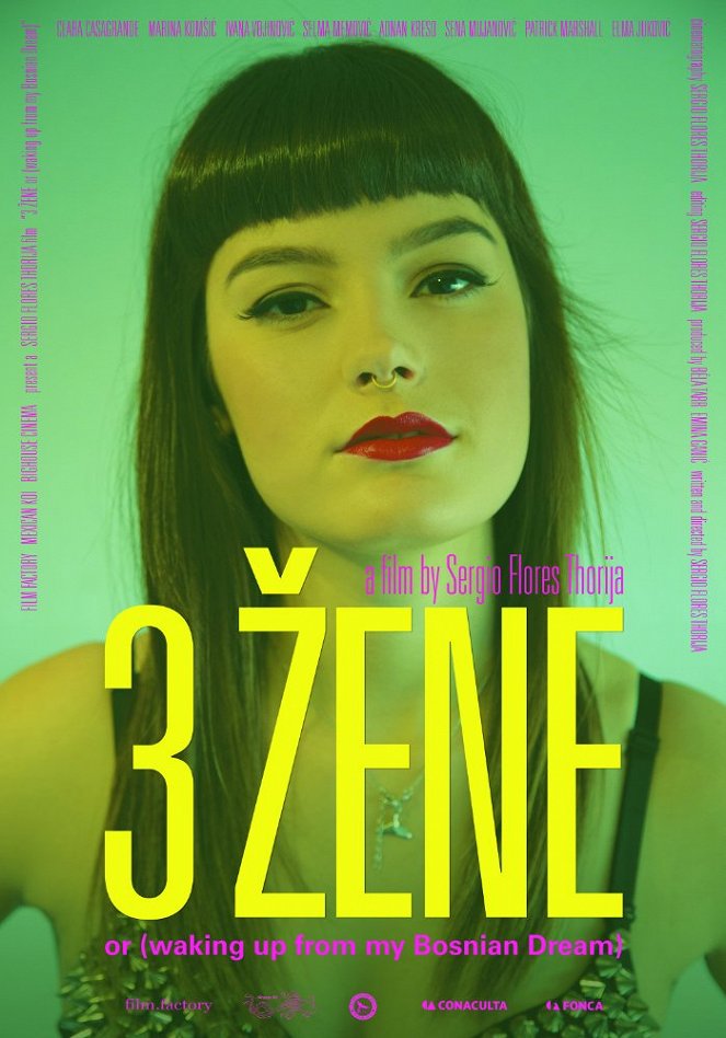 3 ZENE or (waking up from my Bosnian Dream) - Posters