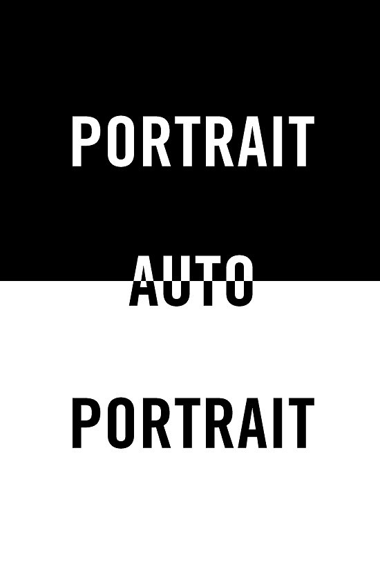 Portrait-auto-portrait - Plagáty
