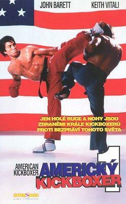 Americký kickboxer - Plakáty