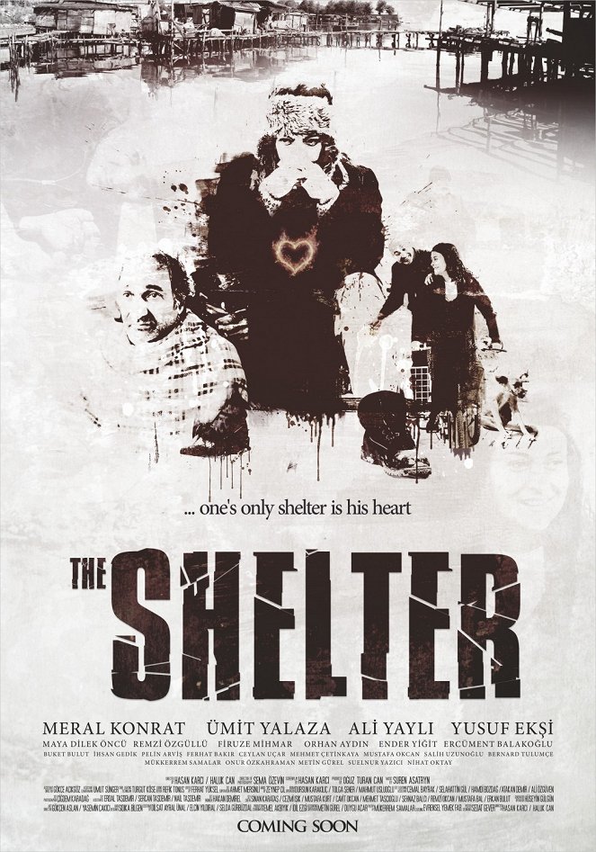 The Shelter - Posters