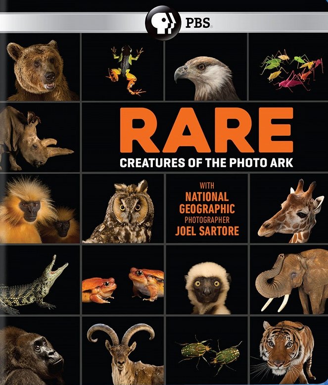 Rare: Creatures of the Photo Ark - Carteles