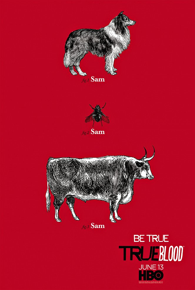 True Blood - Inni és élni hagyni - Season 3 - Plakátok