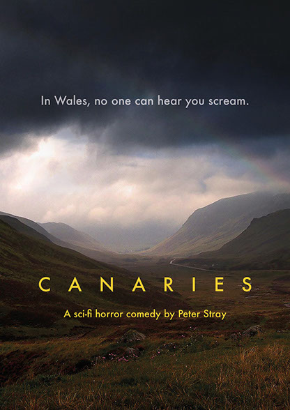Canaries - Carteles