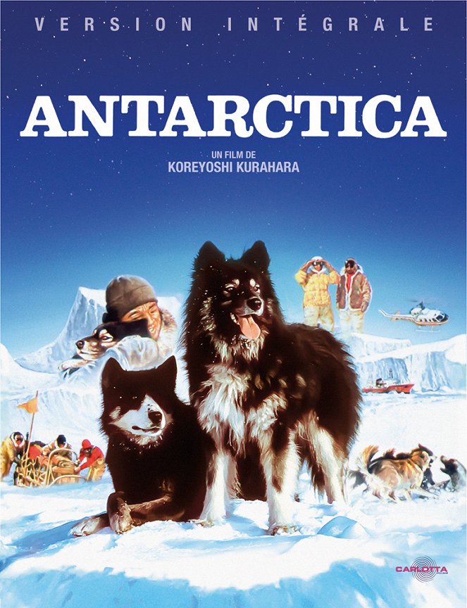 Antarctica - Affiches