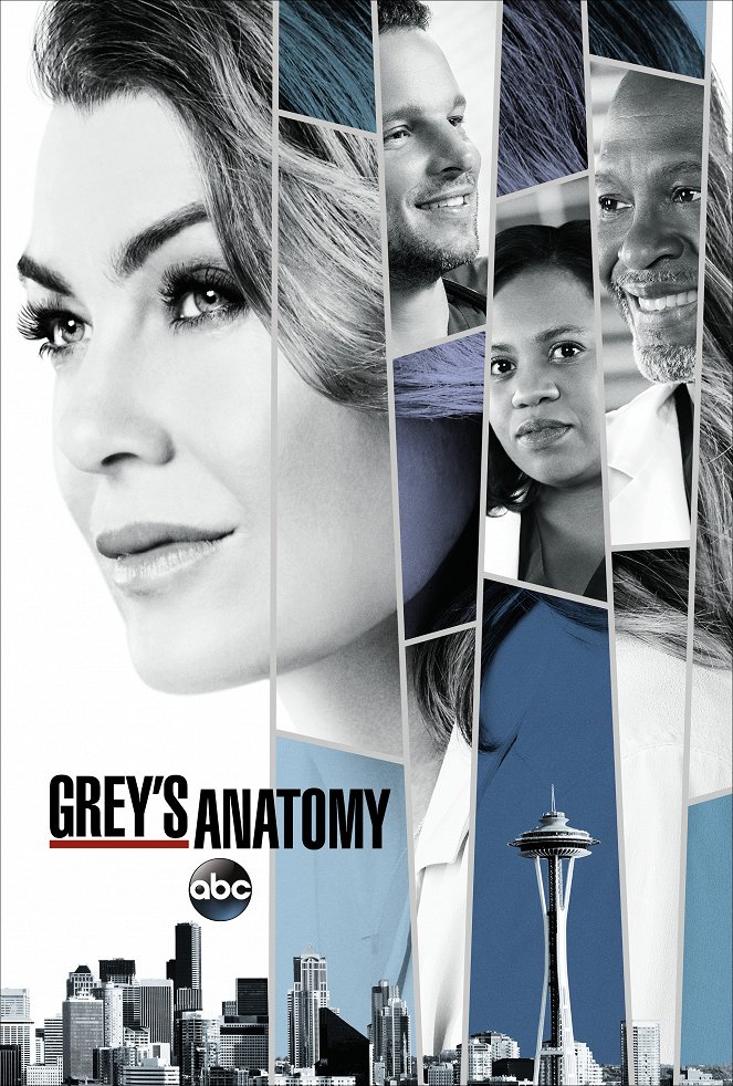 Anatomía de Grey - Season 14 - Carteles