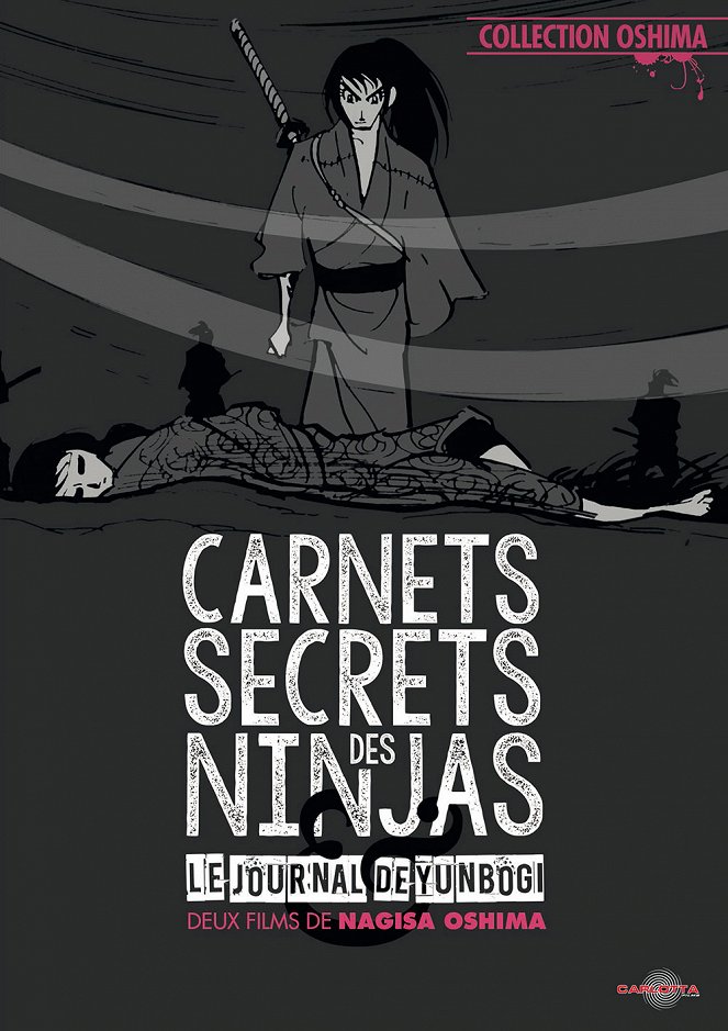 Carnets secrets des Ninja - Affiches