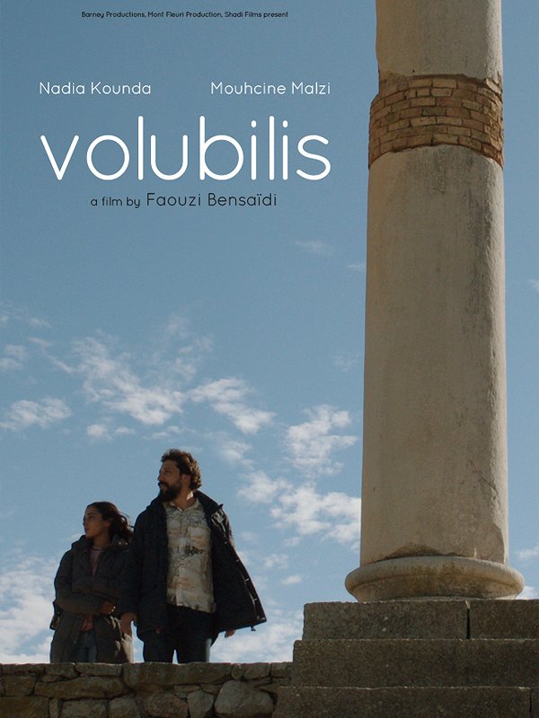 Volubilis - Posters