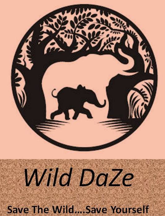 Wild Daze - Cartazes