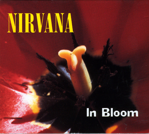 Nirvana: In Bloom - Plakaty