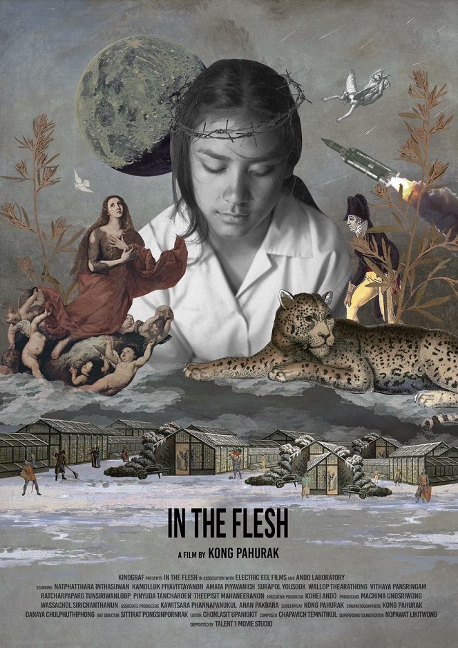 In the Flesh - Affiches