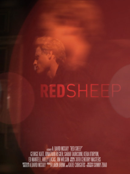 Red Sheep - Posters