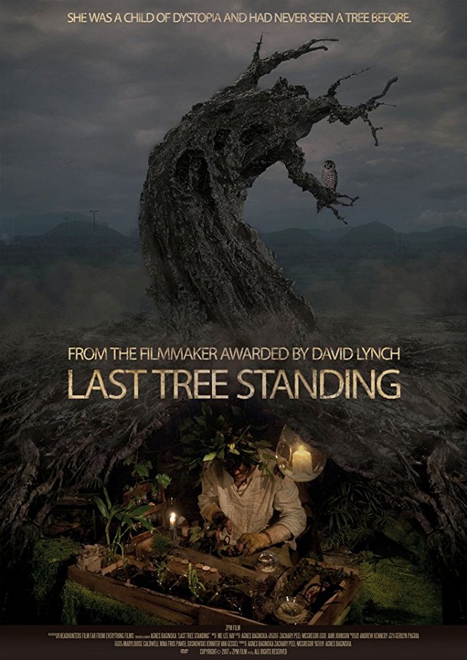 Last Tree Standing - Affiches
