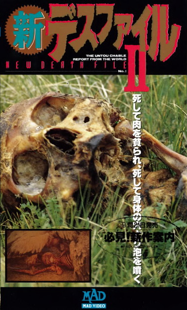 Shin desu fairu II - Plakáty