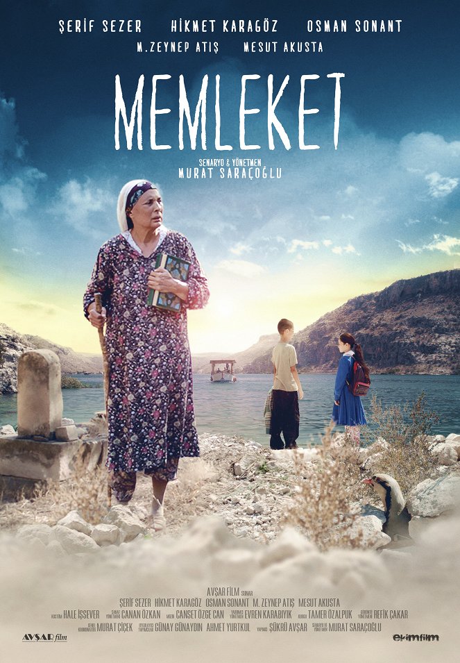 Memleket - Posters