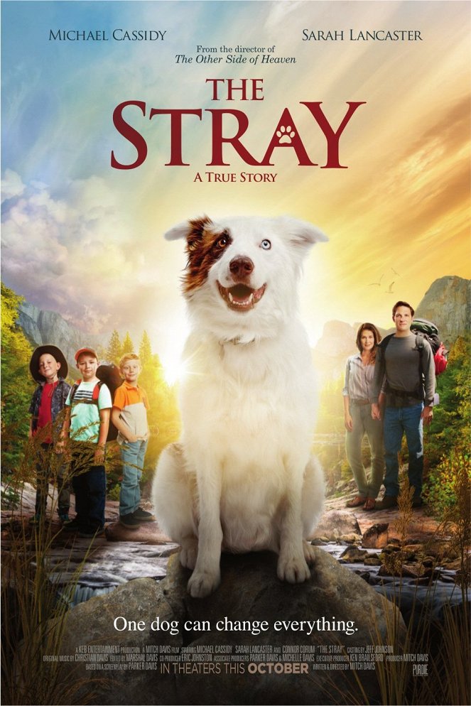 The Stray - Posters