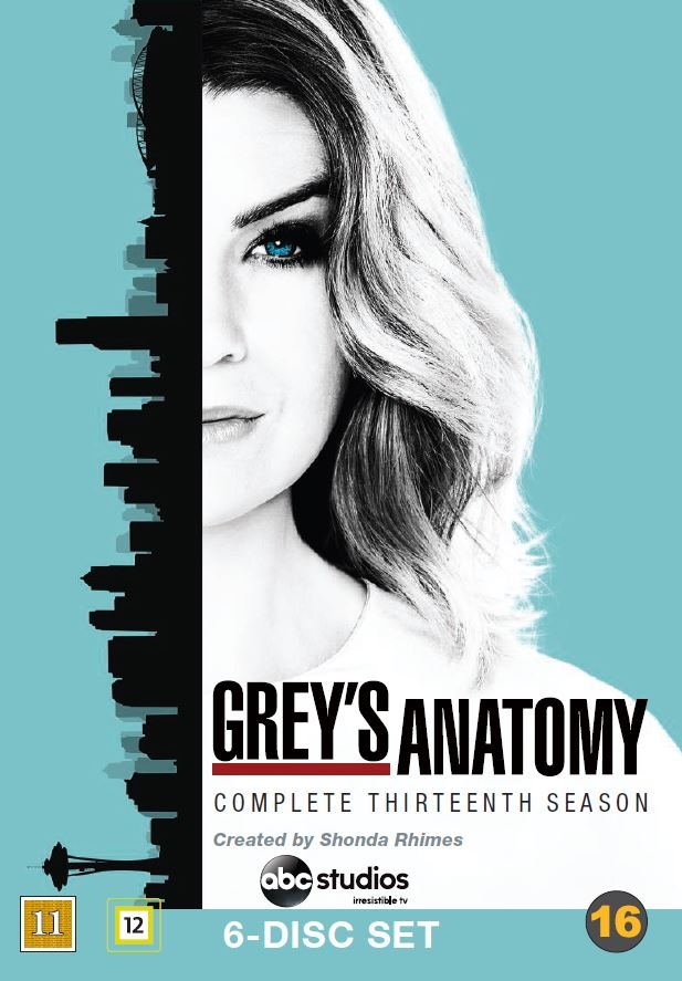 Greyn anatomia - Greyn anatomia - Season 13 - Julisteet