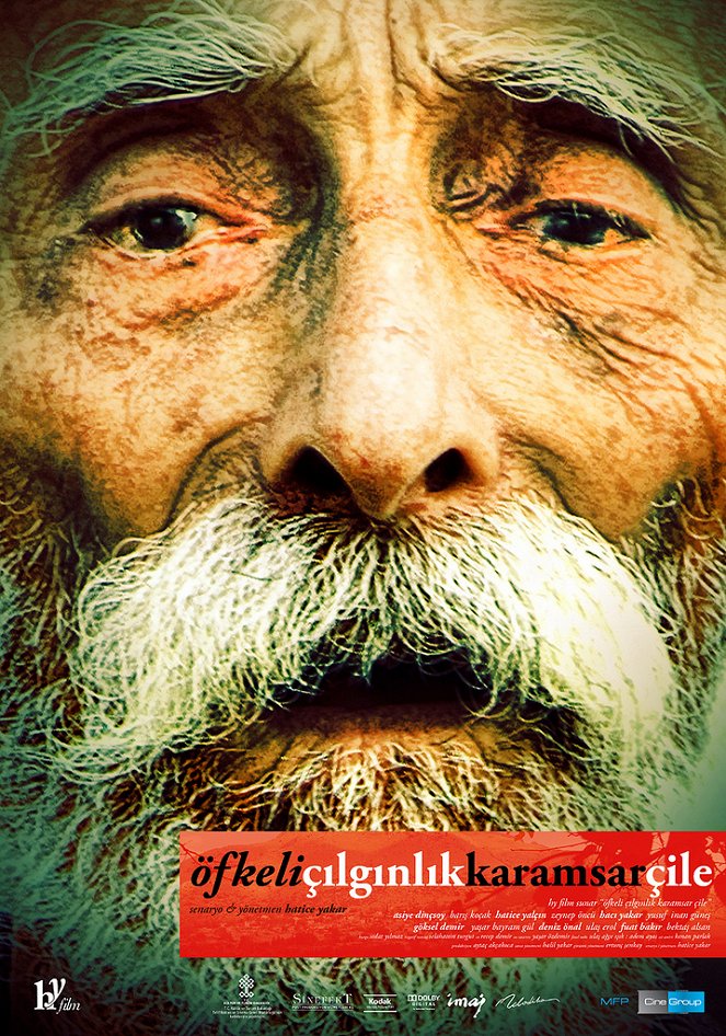 Öfkeli Çılgınlık Karamsar Çile - Plakátok
