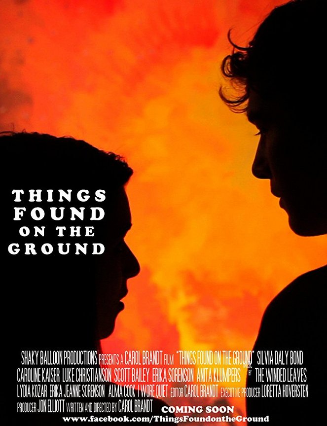 Things Found on the Ground - Affiches