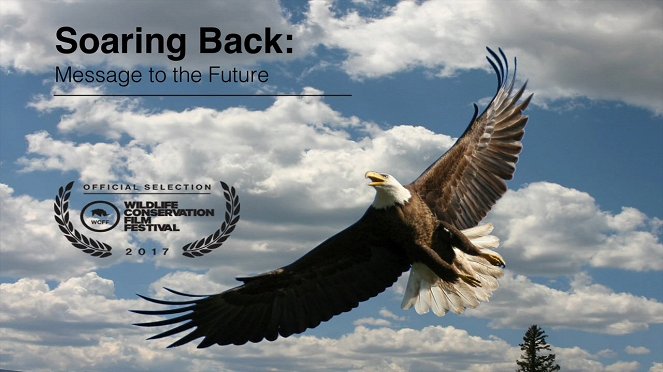 Soaring Back: Message to the Future - Plakate