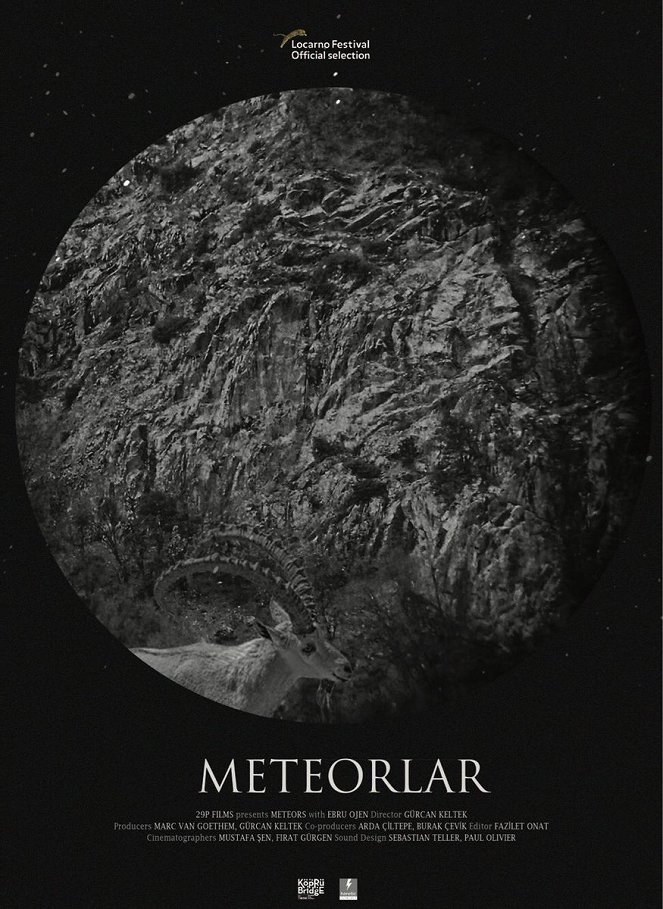Meteors - Affiches
